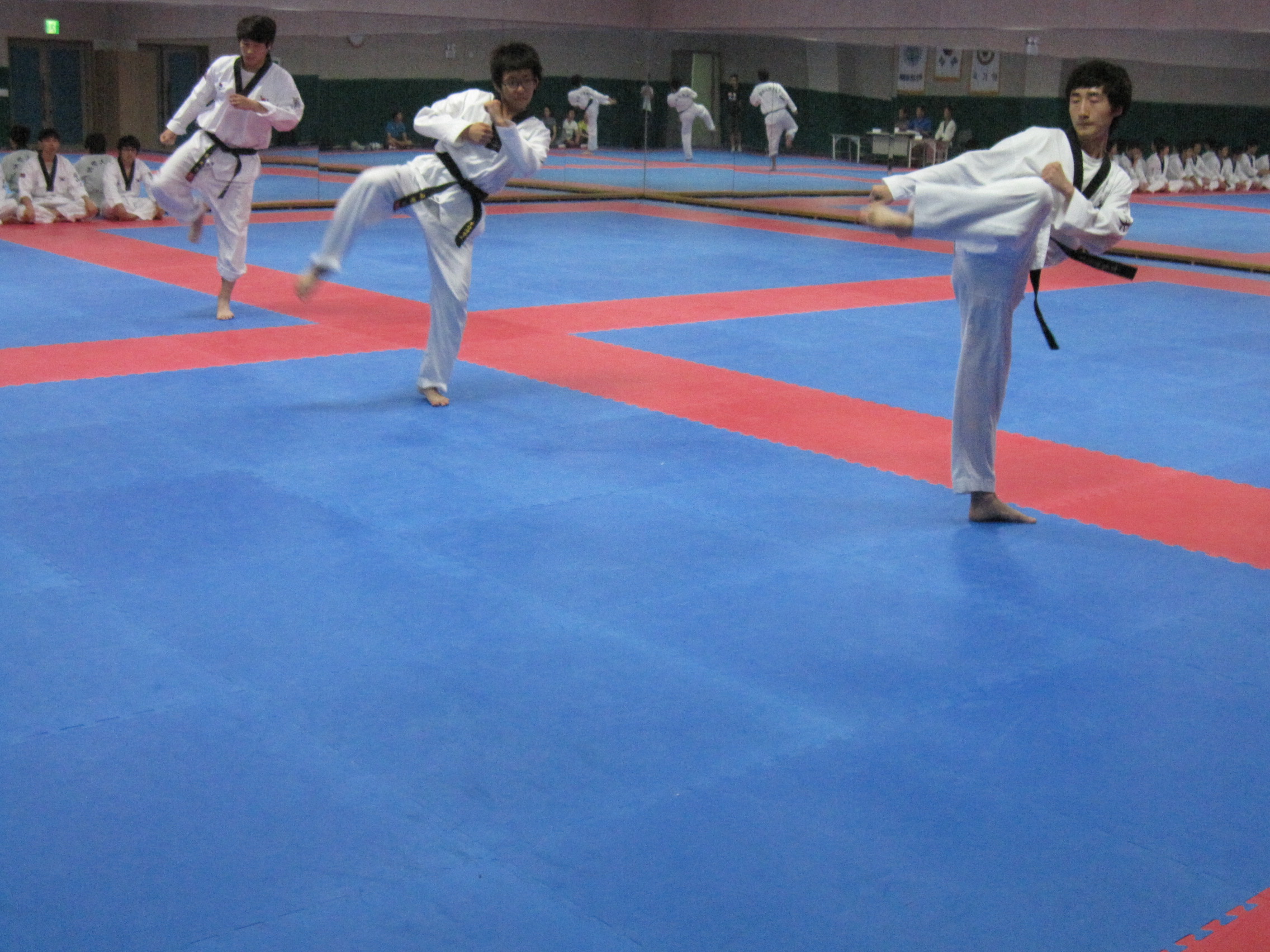 IMG_8582.JPG 첨부 이미지