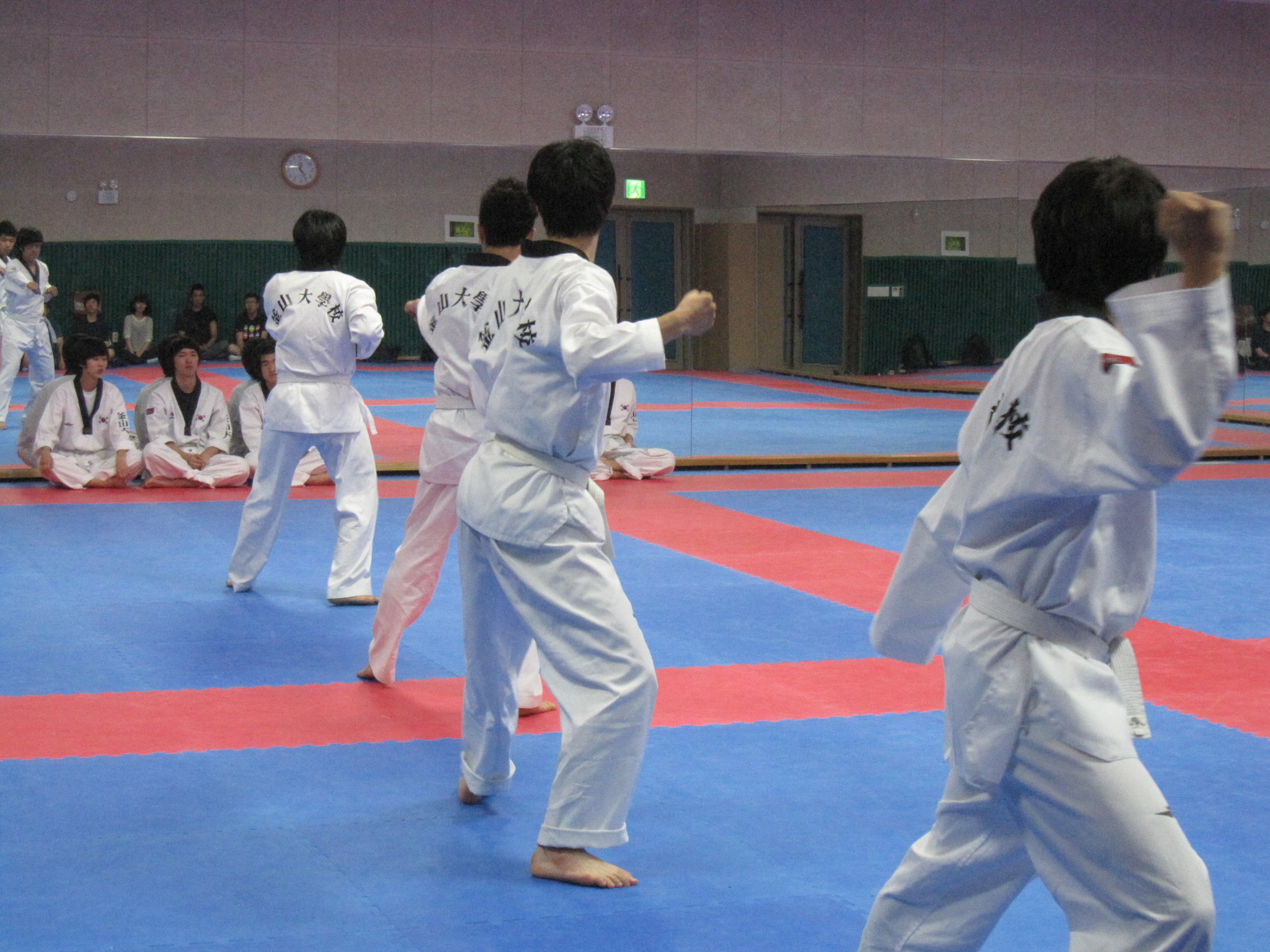 IMG_8626.JPG 첨부 이미지