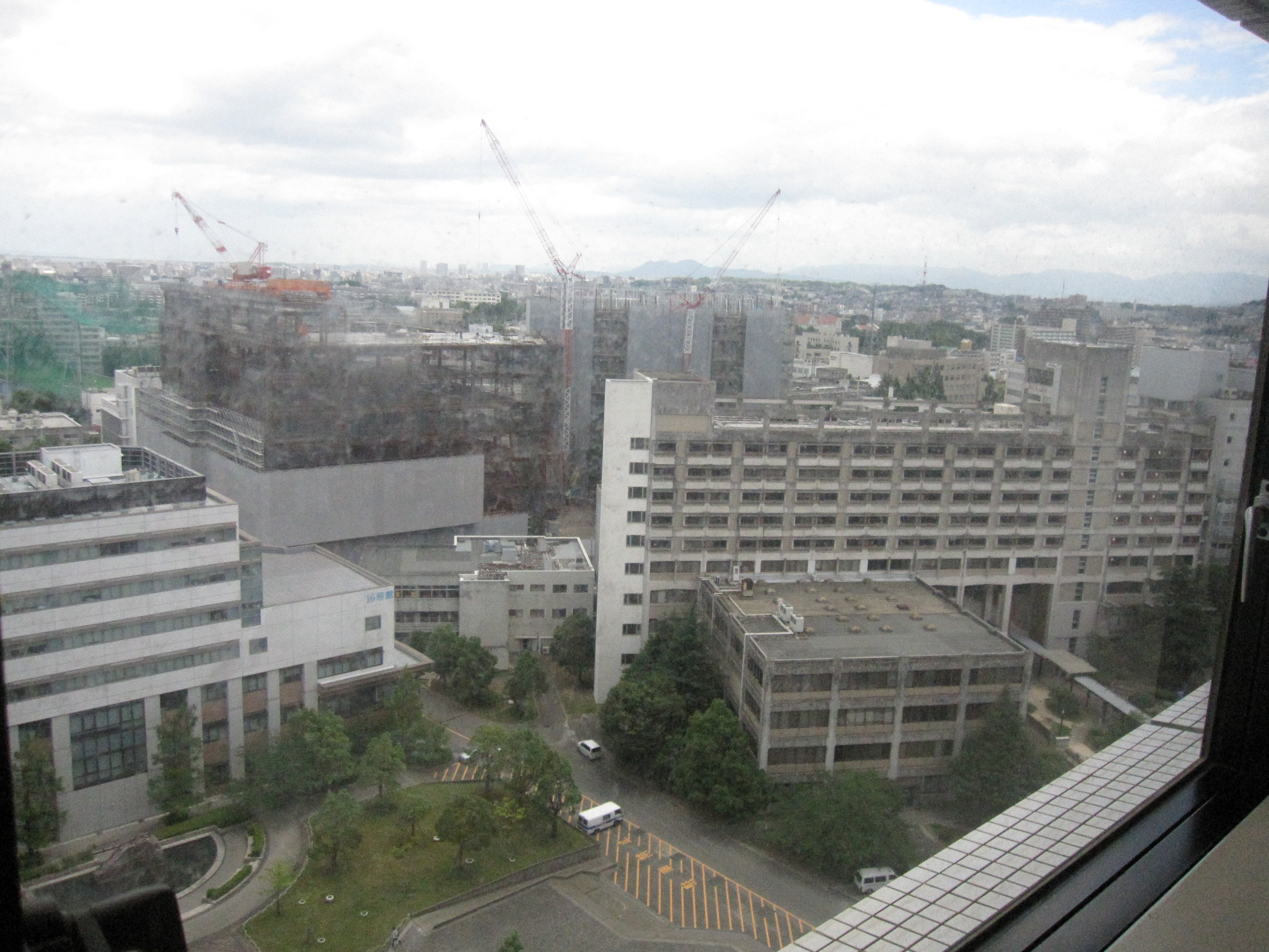 IMG_8841.JPG 첨부 이미지